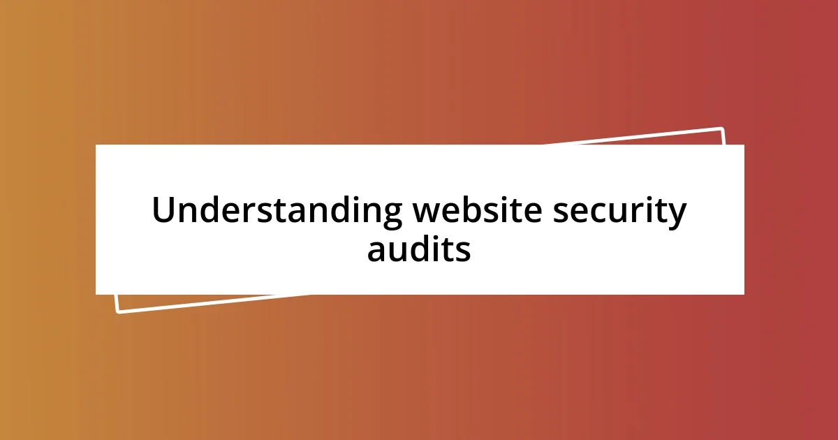 Understanding website security audits